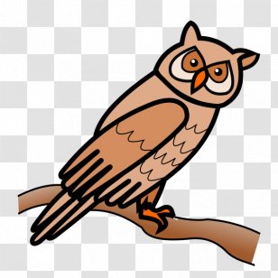 Owl Adobe Systems Reader Premiere Pro Computer Software - Indesign Transparent PNG