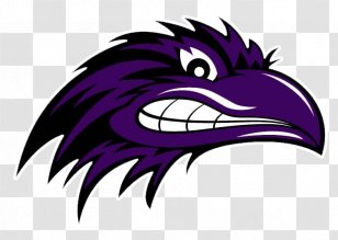 Vista Del Lago High School Baltimore Ravens Chicago Blitz Sport - Cartoon - Basketball Field Transparent PNG