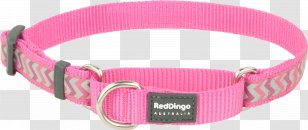 Dingo Dog Collar Canaan Norwegian Lundehund Martingale - Red Transparent PNG