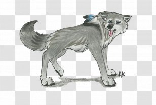Dog Breed /m/02csf Drawing Group (dog) - Tail - Spirit Wolf Backgrounds Birthday Transparent PNG