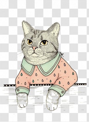 Kitten Whiskers Domestic Short-haired Cat Tabby - Small To Medium Sized Cats Transparent PNG