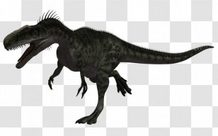 Tyrannosaurus Monolophosaurus Dinosaur Megalosaurus Allosaurus - Protoceratops Transparent PNG