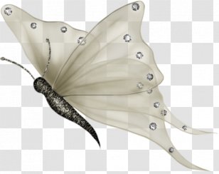 YouTube Desktop Wallpaper Butterfly - Animated Film - Decoration Transparent PNG