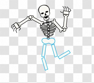 Human Skeleton Drawing Cartoon Bone Transparent PNG