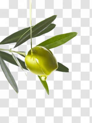 Olive Oil Computer File - Flower Transparent PNG