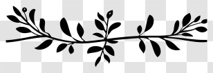 Black Line - Black Branch And Leaves Silhouette Design Transparent PNG