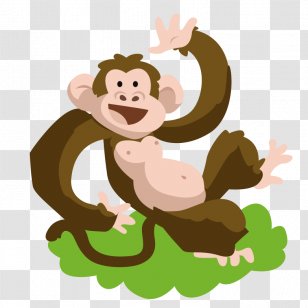 Capuchin Monkey Animal Transparent PNG