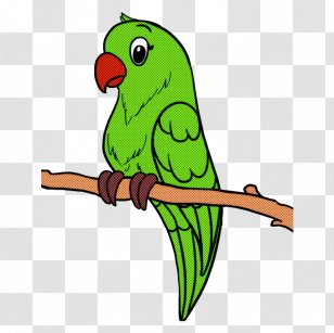 Lovebird - Budgie - Macaw Transparent PNG