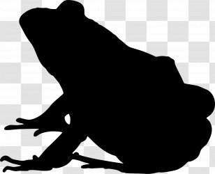 Clip Art Illustration Silhouette Cat - Toad - Blackandwhite Transparent PNG