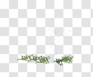 Green Area Angle Pattern - Point - Transparent Water Droplets Transparent PNG