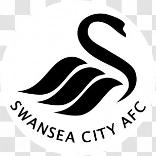 Swansea City A.F.C. EFL Cup Football 2017â€“18 Premier League - Alfie Mawson Transparent PNG