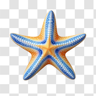 Starfish - Yellow And Blue Starfish Illustration Transparent PNG