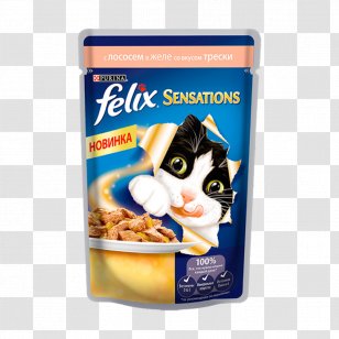 Cat Food Kitten Gelatin Dessert - Vegetarian Transparent PNG