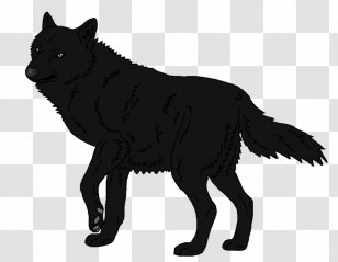 Schipperke Arctic Wolf Mexican Black Fox - Dog Like Mammal Transparent PNG
