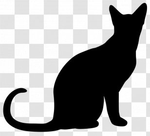Black Cat Kitten Clip Art - Domestic Short Haired - Witch Transparent PNG