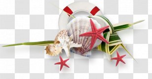 Flower Christmas Ornament Day - Frappes Streamer Transparent PNG