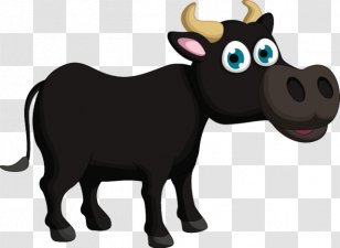 Cattle Cartoon Illustration - Black Bull Transparent PNG