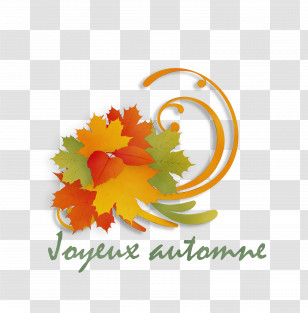 Leaf Petal Logo Autumn Autumn Leaf Color Transparent PNG