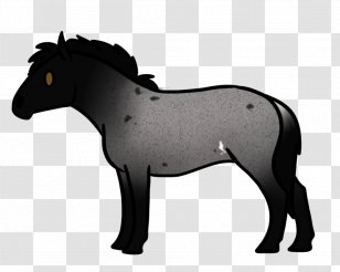 Mustang Stallion Foal Mare Colt - Horse Tack Transparent PNG