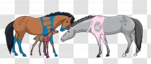 Horse Foal Stallion Pony Mare - Harnesses - Pink Shading Background Transparent PNG