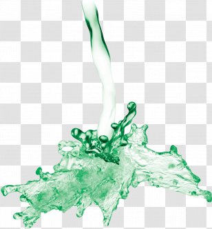 Water Green Desktop Wallpaper Clip Art - Plant - Auction Transparent PNG