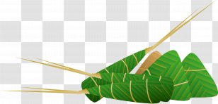 Ground Meat Disease Poultry Livestock - Grass Family Transparent PNG