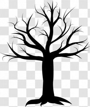 T-shirt Season Company Clip Art - Black And White - Tree Vector Transparent PNG