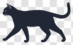 Cat Walking - Black Silhouette Of A Walking Cat Transparent PNG