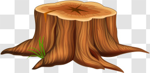 Tree - Tree Stump With Visible Rings And Roots Transparent PNG