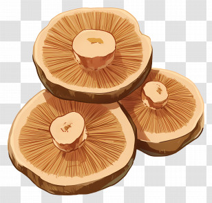 Shiitake Mushrooms - Illustration Of Brown Mushrooms Cluster Transparent PNG