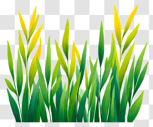 Watercolor Grass Background - Green Grass Nature Illustration Transparent PNG