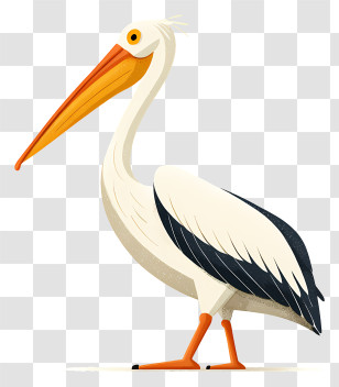 Great White Pelican - Cartoon Pelican Illustration For Nature Concept Transparent PNG