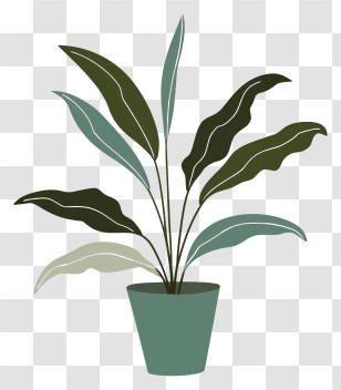 Cartoon - Potted Plant With Green Leaves And Simple Pot Transparent PNG