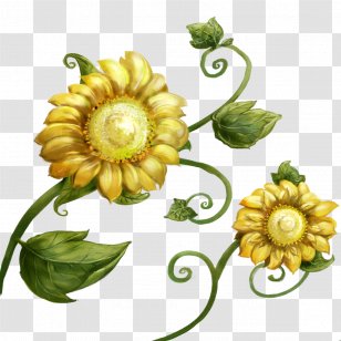 Child Desktop Computer Display Resolution High-definition Television Wallpaper - Directory - Hand-painted Sunflower Transparent PNG