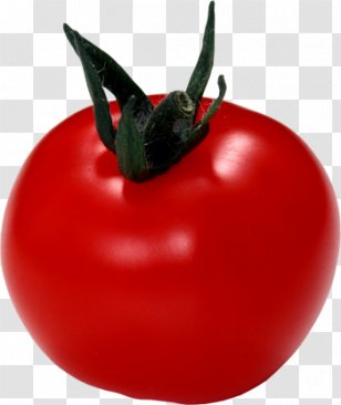 Vegetable Cherry Tomato Clip Art - Image File Formats Transparent PNG