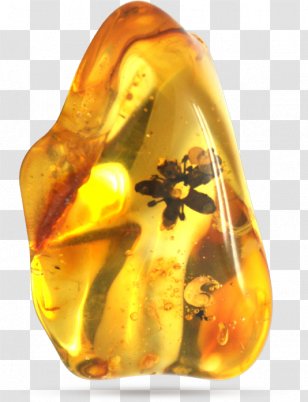 Baltic Amber Bracelet Crystal Healing Necklace - Jewellery - Charms Pendants Transparent PNG
