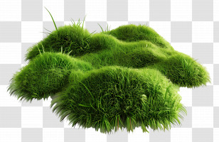 Grass Ground - Green Grass Mound With Lush Texture Transparent PNG