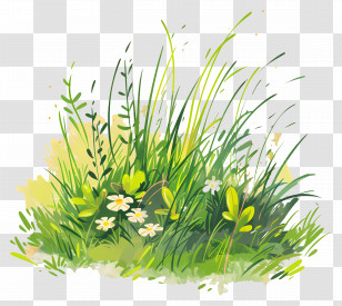 Green Grass Ground - Lush Green Grass With Wild Flowers Transparent PNG