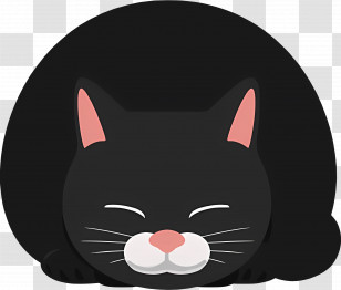 Cartoon Cat - Sleeping Black Cat Illustration Transparent PNG