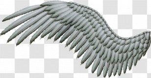 Roblox Rendering Animation Wing Transparent Shading Transparent Png - roblox wing png download 960540 free transparent roblox