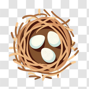 Cartoon Eggs - Bird Nest With Eggs Illustration Transparent PNG