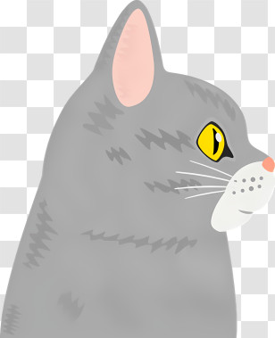 Grey Cat - Gray Cat Profile Transparent PNG