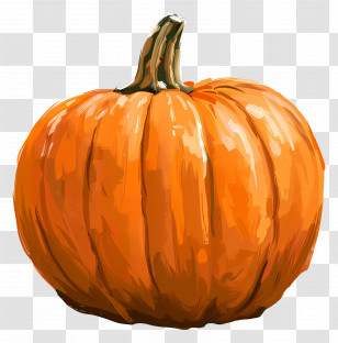 Pumpkin - Orange Pumpkin Illustration Transparent PNG