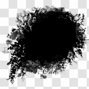 Photography Picture Frames File Viewer Clip Art - Black Transparent PNG