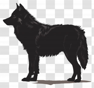 Wolf Silhouette - Black Silhouette Illustration Of A Wolf Transparent PNG