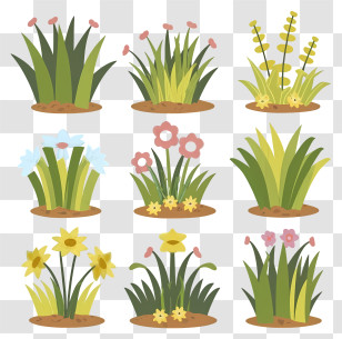Fresh Flowers - Cartoon Flowers And Plants In Various Styles Transparent PNG