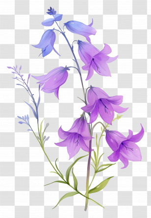 Watercolor Wildflower - Delicate Purple Bell Flowers Illustration Transparent PNG