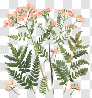 Small Flower - Delicate Pink Flowers And Green Foliage Illustration Transparent PNG