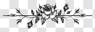 Black Line - Black And White Floral Line Art Design Transparent PNG