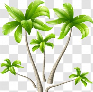 Coconut Arecaceae Tree - Milk Powder - Hand-painted Cartoon Rubber Transparent PNG